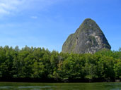 ท่าเรือท่าด่านศุลกากร ป่าชายเลน อุทยานแห่งชาติอ่าวพังงา อ.เมือง จ.พังงา